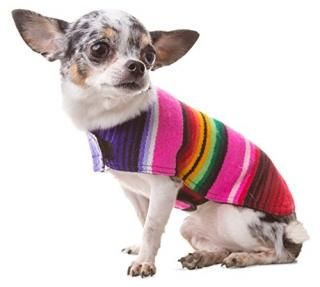 Dog Clothes - Handmade Dog Poncho from Authentic Mexican Blanket by Baja Ponchos