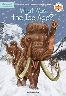 What Was the Ice Age What Was