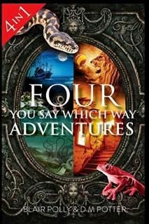 Four You Say Which Way Adventures Pirate Island In the Magician's House Lost in 