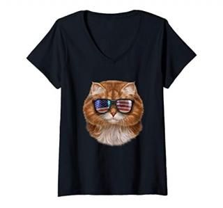 Womens Fluffy Orange Cat in Flag of USA Theme Aviator Sunglass V-Neck T-Shirt