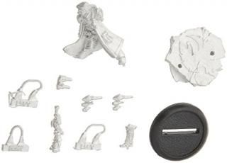 Privateer Press??Cygnar??Captain Allister Caineǥ륭å