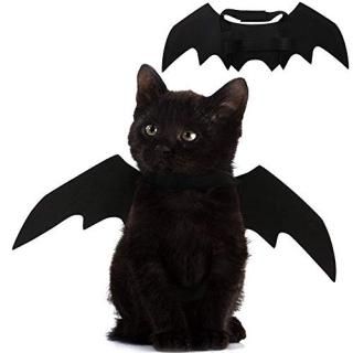 Pet Cat Bat Wings for Halloween Party Decoration Puppy Collar Leads Cosplay Bat 