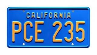 Celebrity Machines Stranger Things  PCE 235  Metal Stamped License Plate
