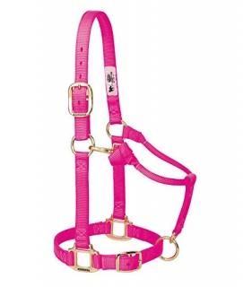 2.5cm Average Horse Diva Pink - Weaver Leather Adjustable Horse Halter