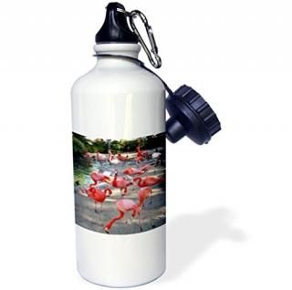 3dRose wb_1223_1 Flamingos Sports Water Bottle 620ml White