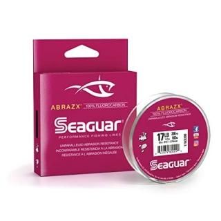 Seaguar Abrazx 100եܥ200䡼饤25ݥ
