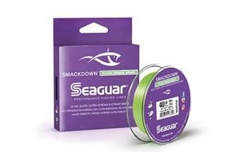 Seaguar Smackdown եå奰꡼ 8ǲ 150䡼 40ݥ
