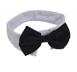 Heypet Formal Pets BowtieDog Cat Pets Adjustable Bow Tie and Collar DCL01 01 141