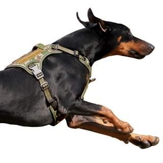 BUMBIN Tactical Dog Harness for Large Dogs No Pull Famous TIK Tok No Pull Dog Ha
