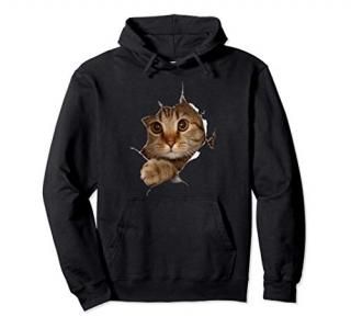 Sweet Kitten Torn Cloth - Funny Cat Lover Cat Owner Cat Lady Pullover Hoodie