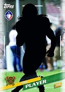 Topps 2019 ꥫեåȥܡ륢饤󥹥ۥӡܥå