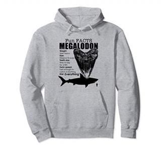 Funny facts Megalodon Pullover Hoodie