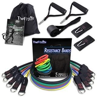 TheFitLife Exercise Resistance Bands with Handles - 5 Fitness Workout Bands Stac