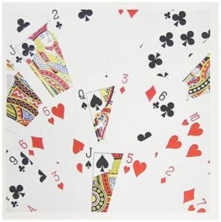 InspirationzStoreǥ??Playing Cards̿??ǥåΥɥեȥեfor Poker֥å¾ɥPla