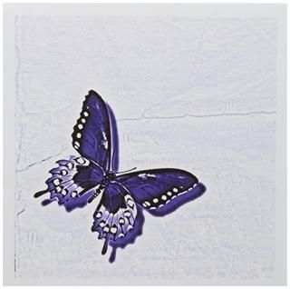 Patricia Sanders Creations??ΥѡץХե饤Ȥο礤ǥ??꡼ƥ󥰥 Set of 12 Greeti