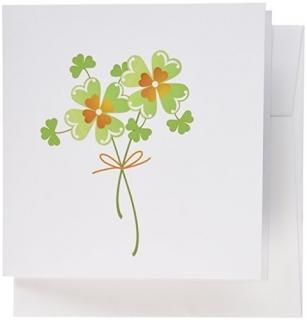 TNMGraphics??ɤΥСBunch??꡼ƥ󥰥 Set of 12 Greeting Cards