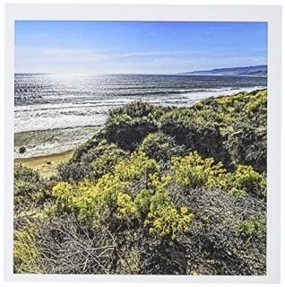 Boehm̿??Jalama Beach  Californiaӥ塼??꡼ƥ󥰥 Set of 12 Greeting Cards