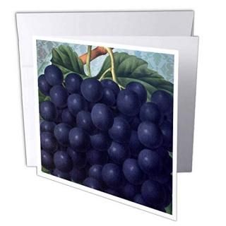 PSơ??ơѡץGrapes??꡼ƥ󥰥 Set of 12 Greeting Cards
