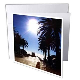 Perkins DesignsԻԤȹ¤ʪ??Afternoon in Hermosa BeachSetting Sun Over The Pacific O