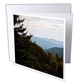 Whiteoaks̿ȥȥ????Summer In The Mountains⡼եtaken late afternoon in th