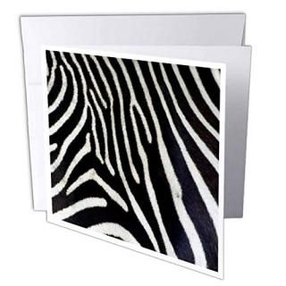 Janna Salak DesignsץȤȥѥ??֥åand White Zebra Animal Print??꡼ƥ󥰥 Set o