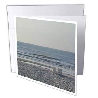 Ann Euell South Carolina??Relaxing onӡ??꡼ƥ󥰥 Set of 12 Greeting Cards