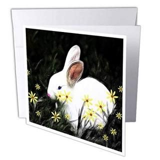 磻ɥ饤եǥ??Bunny??꡼ƥ󥰥 Set of 12 Greeting Cards