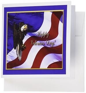 ӥХ꡼ʡVeterans Dayǥ??Veterans Day Bald Eagle Withꥫ??꡼ƥ󥰥 Set of 