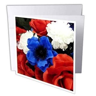 ե??եPatriotic??꡼ƥ󥰥 Set of 12 Greeting Cards