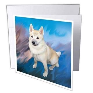 Norwegian Buhund??Norwegian Buhund??꡼ƥ󥰥 Set of 12 Greeting Cards