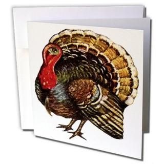 Sandy Mertensȴպץȥ륳??ӥơCartoon??꡼ƥ󥰥 Set of 12 Greeting Cards