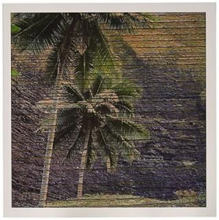 Patricia Sandersϥ磻??Wood Tropical Hawaii Palm Trees??꡼ƥ󥰥 Set of 12 Greet