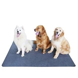 Upgrade Non-Slip Dog Pads Extra Large 65 x 48 Washable Puppy Pee Pads with Fast 