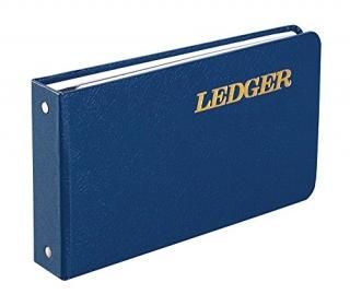Wilson Jones Ring Ledger Outfit Bookkeeping System with Ring Binder Ledger Shee