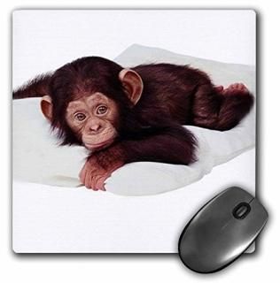 3D   襤ѥ󥸡 - ޥ ѥå - ޥѥå - mp_628_1 