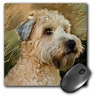 3D  ȥ ƥꥢ - ȥ ƥꥢ - ޥ ѥå - ޥѥå - mp_4808_1 