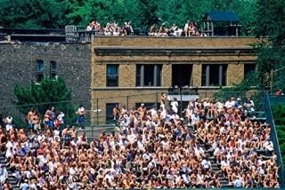 ѥΥ޲ˤץ奲ꥰ꡼եɥΥΥݥץȤǥե󤬤äѤΥ֥꡼į 36 x 24