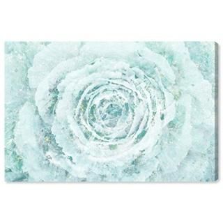 The Oliver Gal Artist Co. Floral Wall Art Canvas Prints 'Blush Winter Flower' Ho
