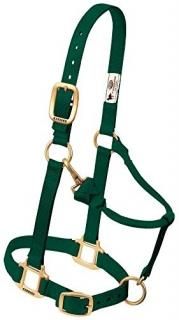 2.5cm Large Horse Hunter Green - Weaver Leather Adjustable Horse Halter