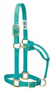 2.5cm Small Horse Mint - Weaver Leather Adjustable Horse Halter