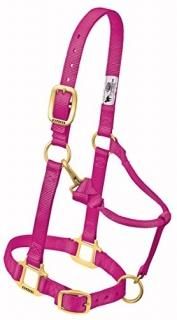 Weanling Raspberry - Weaver Leather Adjustable Horse Halter