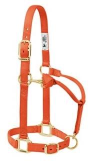 Yearling Horse Orange - Weaver Leather Adjustable Horse Halter