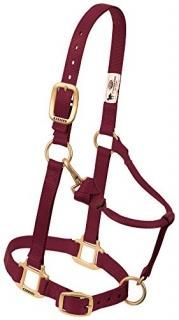 2.5cm Small Horse Burgundy - Weaver Leather Adjustable Horse Halter