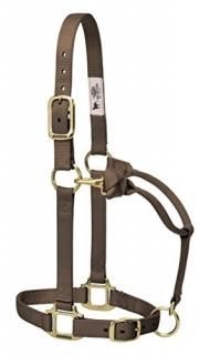 2.5cm Average Horse Brown - Weaver Leather Adjustable Horse Halter