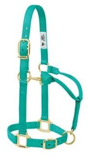 2.5cm Large Horse Emerald Green - Weaver Leather Adjustable Horse Halter