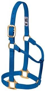 Large Horse Blue - Weaver Leather Original Non-Adjustable Halter