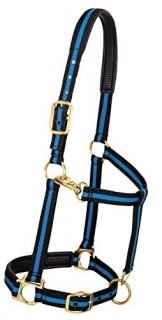 2.5cm Large Horse Blue/Black - Weaver Leather Padded Adjustable Nylon Horse Halt