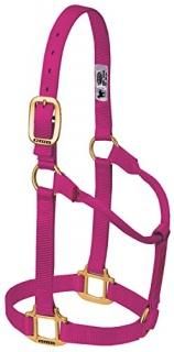 Small Horse Raspberry - Weaver Leather Original Non-Adjustable Halter