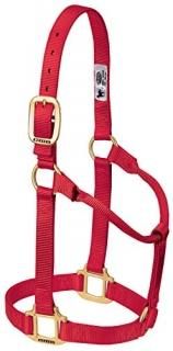 Average Horse Red - Weaver Leather Non-Adjustable Halter