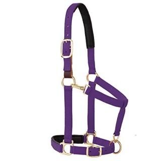 Purple - Weaver Leather Padded Breakaway Adjustable Chin & Throat Snap Halter 2.